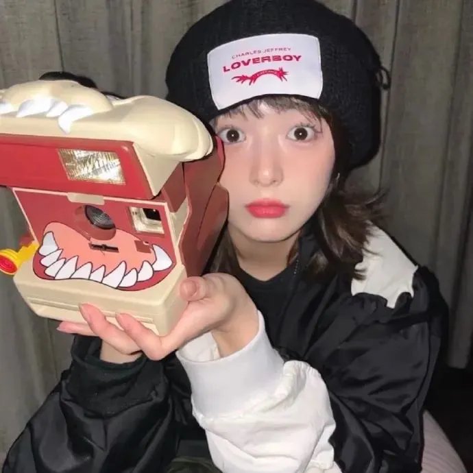 企鹅之岛:福克兰